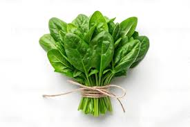 Spinach Plain